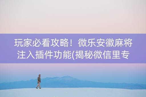 玩家必看攻略！微乐安徽麻将注入插件功能(揭秘微信里专用神器)
