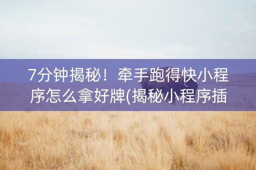 7分钟揭秘！牵手跑得快小程序怎么拿好牌(揭秘小程序插件免费)