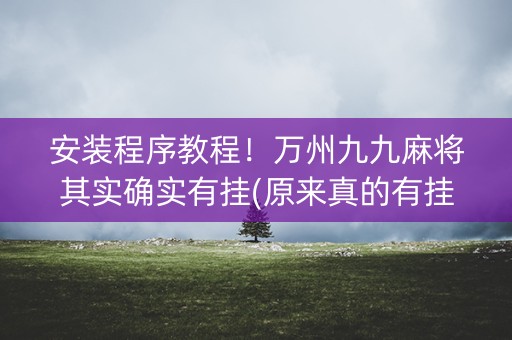 安装程序教程！万州九九麻将其实确实有挂(原来真的有挂)