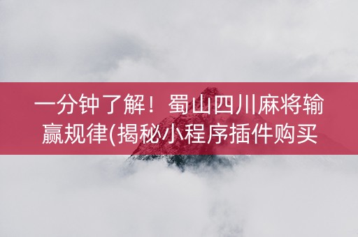 一分钟了解！蜀山四川麻将输赢规律(揭秘小程序插件购买)