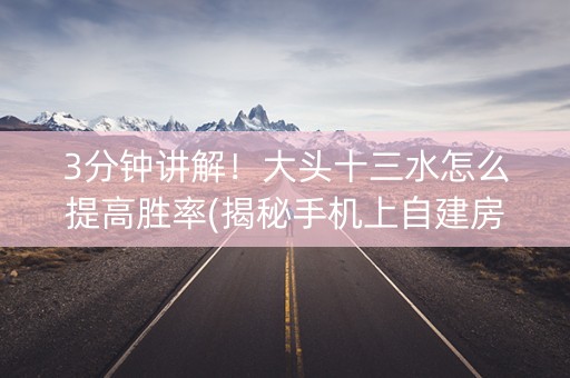 3分钟讲解！大头十三水怎么提高胜率(揭秘手机上自建房怎么赢)