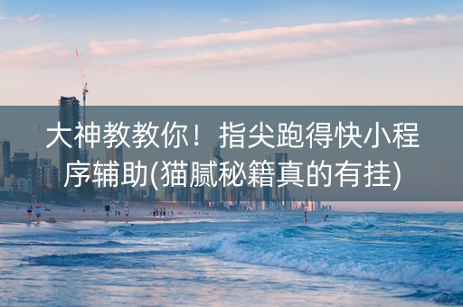 大神教教你！指尖跑得快小程序辅助(猫腻秘籍真的有挂)