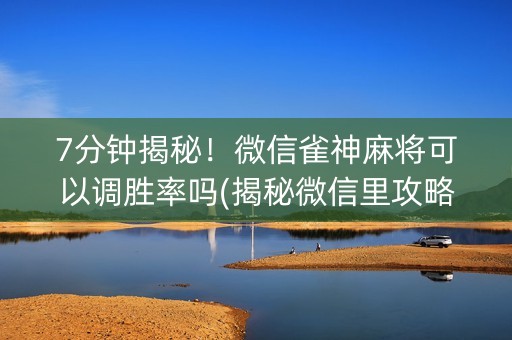 7分钟揭秘！微信雀神麻将可以调胜率吗(揭秘微信里攻略插件)