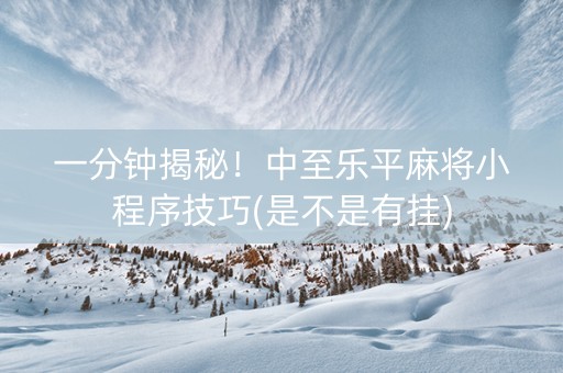 一分钟揭秘！中至乐平麻将小程序技巧(是不是有挂)