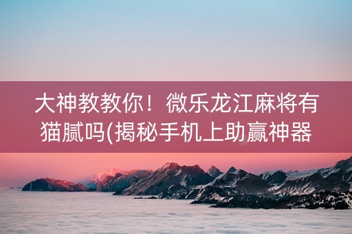 大神教教你！微乐龙江麻将有猫腻吗(揭秘手机上助赢神器购买)
