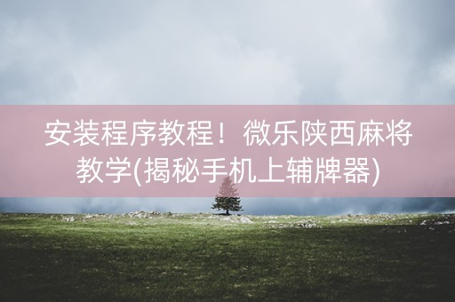 安装程序教程！微乐陕西麻将教学(揭秘手机上辅牌器)