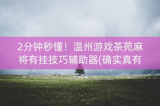 2分钟秒懂！温州游戏茶苑麻将有挂技巧辅助器(确实真有挂)