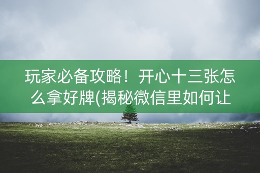玩家必备攻略！开心十三张怎么拿好牌(揭秘微信里如何让牌变好)