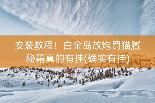 安装教程！白金岛放炮罚猫腻秘籍真的有挂(确实有挂)
