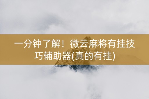 一分钟了解！微云麻将有挂技巧辅助器(真的有挂)