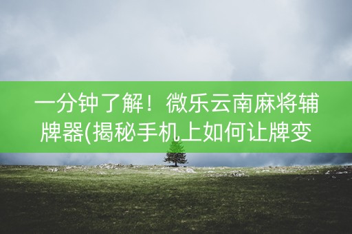 一分钟了解！微乐云南麻将辅牌器(揭秘手机上如何让牌变好)