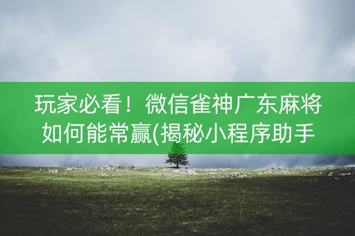 玩家必看！微信雀神广东麻将如何能常赢(揭秘小程序助手软件)