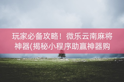 玩家必备攻略！微乐云南麻将神器(揭秘小程序助赢神器购买)
