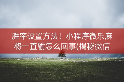胜率设置方法！小程序微乐麻将一直输怎么回事(揭秘微信里最新神器下载)