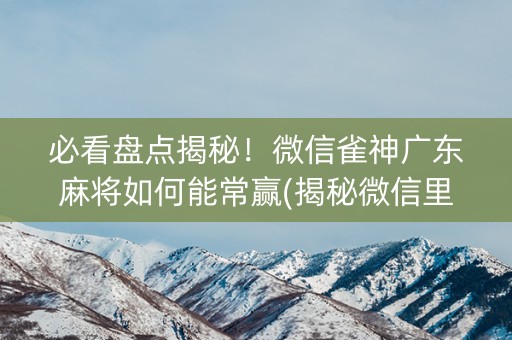 必看盘点揭秘！微信雀神广东麻将如何能常赢(揭秘微信里赢的秘诀)