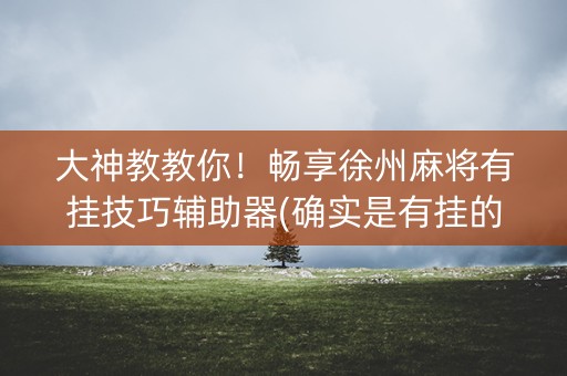大神教教你！畅享徐州麻将有挂技巧辅助器(确实是有挂的)