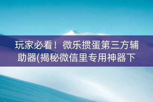 玩家必看！微乐掼蛋第三方辅助器(揭秘微信里专用神器下载)