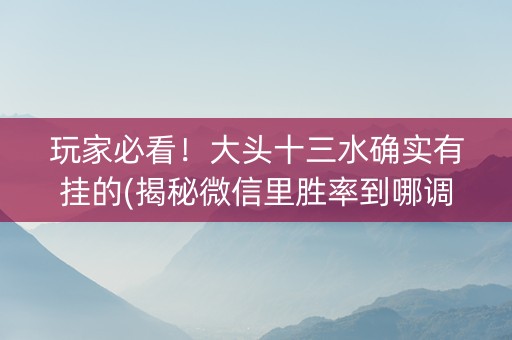 玩家必看！大头十三水确实有挂的(揭秘微信里胜率到哪调)