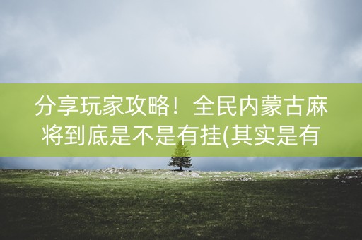 分享玩家攻略！全民内蒙古麻将到底是不是有挂(其实是有挂的)
