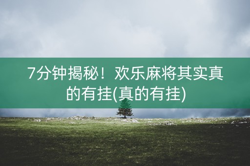 7分钟揭秘！欢乐麻将其实真的有挂(真的有挂)