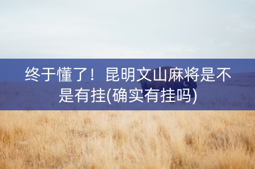 终于懂了！昆明文山麻将是不是有挂(确实有挂吗)
