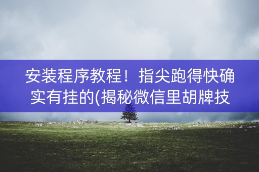 安装程序教程！指尖跑得快确实有挂的(揭秘微信里胡牌技巧)