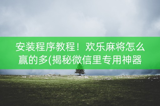 安装程序教程！欢乐麻将怎么赢的多(揭秘微信里专用神器)