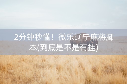 2分钟秒懂！微乐辽宁麻将脚本(到底是不是有挂)
