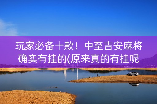 玩家必备十款！中至吉安麻将确实有挂的(原来真的有挂呢)