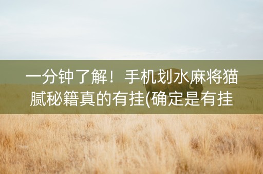 一分钟了解！手机划水麻将猫腻秘籍真的有挂(确定是有挂)