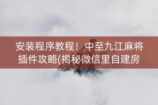 安装程序教程！中至九江麻将插件攻略(揭秘微信里自建房怎么赢)