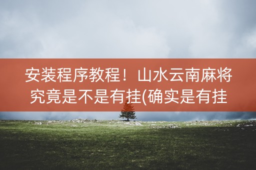 安装程序教程！山水云南麻将究竟是不是有挂(确实是有挂的)