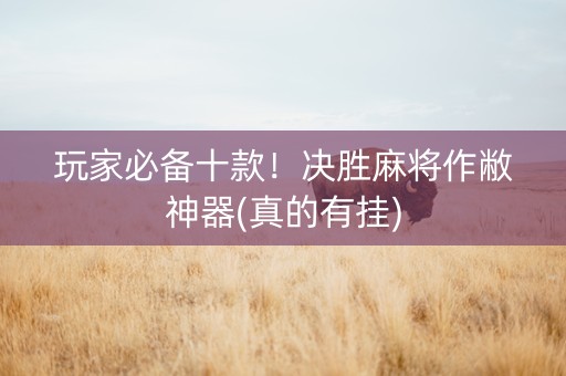 玩家必备十款！决胜麻将作敝神器(真的有挂)
