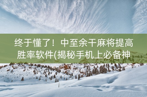 终于懂了！中至余干麻将提高胜率软件(揭秘手机上必备神器)