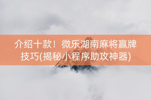介绍十款！微乐湖南麻将赢牌技巧(揭秘小程序助攻神器)