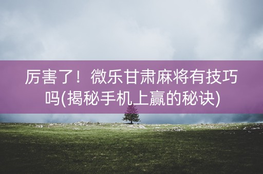 厉害了！微乐甘肃麻将有技巧吗(揭秘手机上赢的秘诀)