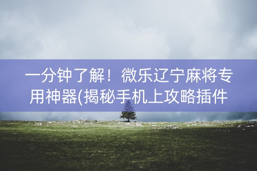 一分钟了解！微乐辽宁麻将专用神器(揭秘手机上攻略插件)