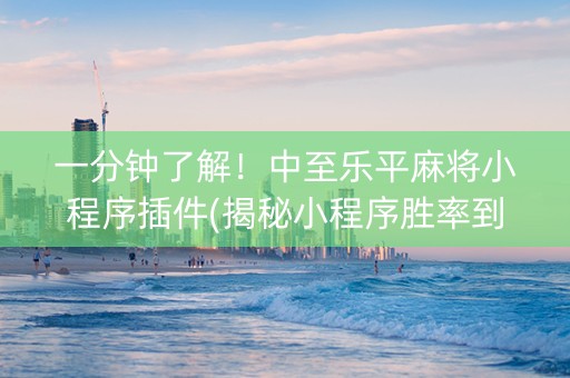 一分钟了解！中至乐平麻将小程序插件(揭秘小程序胜率到哪调)