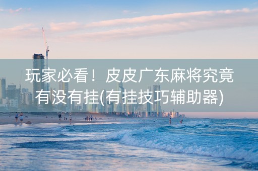 玩家必看！皮皮广东麻将究竟有没有挂(有挂技巧辅助器)