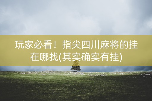 玩家必看！指尖四川麻将的挂在哪找(其实确实有挂)