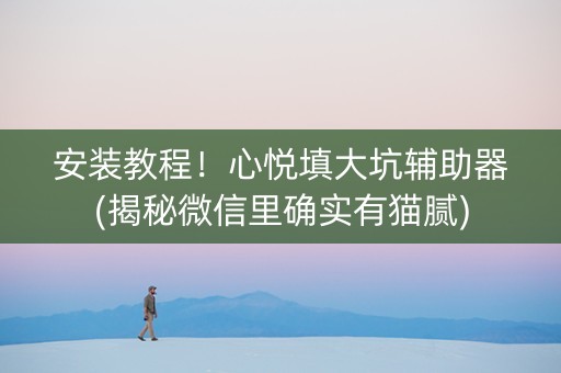 安装教程！心悦填大坑辅助器(揭秘微信里确实有猫腻)