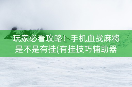 玩家必看攻略！手机血战麻将是不是有挂(有挂技巧辅助器)