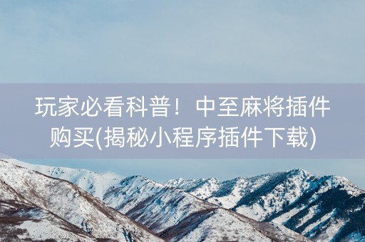 玩家必看科普！中至麻将插件购买(揭秘小程序插件下载)