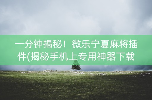 一分钟揭秘！微乐宁夏麻将插件(揭秘手机上专用神器下载)