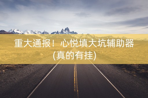 重大通报！心悦填大坑辅助器(真的有挂)