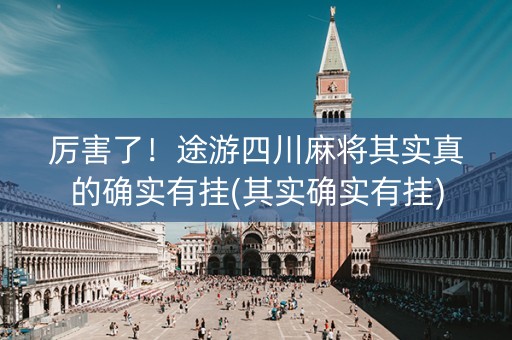厉害了！途游四川麻将其实真的确实有挂(其实确实有挂)