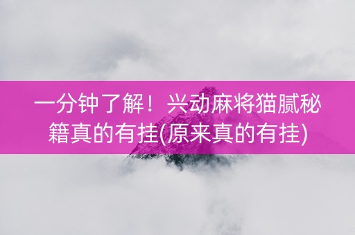 一分钟了解！兴动麻将猫腻秘籍真的有挂(原来真的有挂)