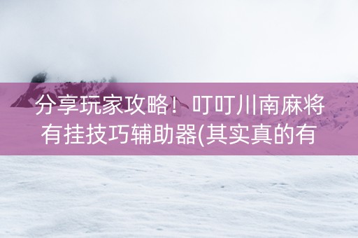 分享玩家攻略！叮叮川南麻将有挂技巧辅助器(其实真的有挂)