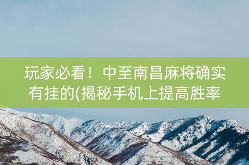 玩家必看！中至南昌麻将确实有挂的(揭秘手机上提高胜率)