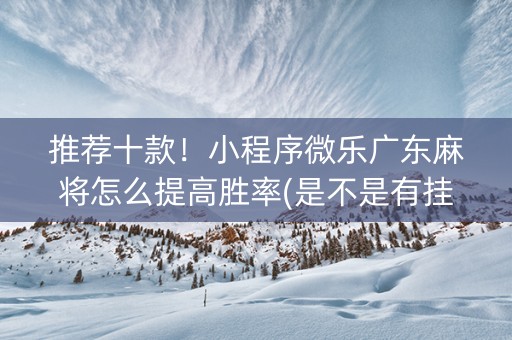 推荐十款！小程序微乐广东麻将怎么提高胜率(是不是有挂)